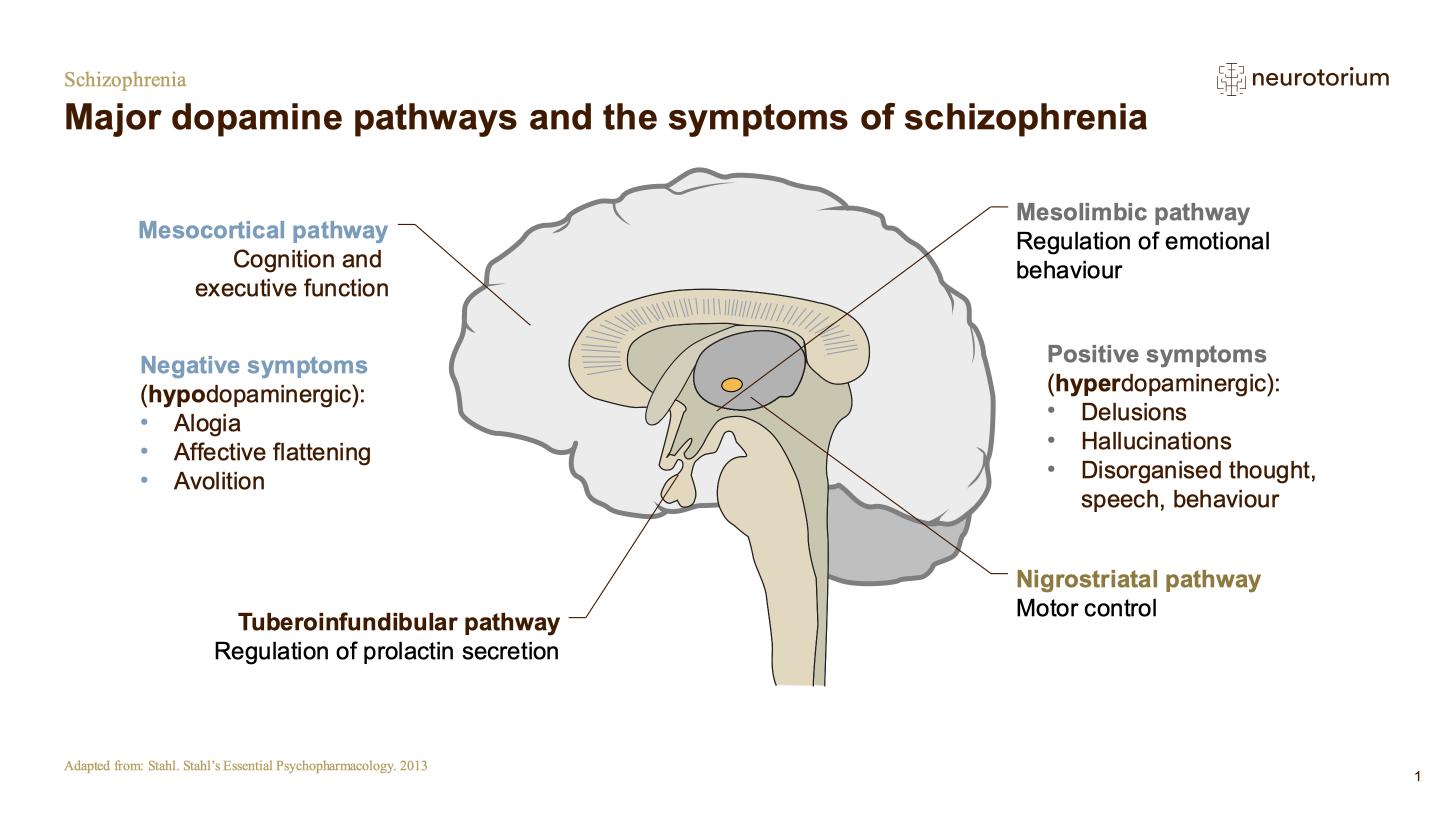 Schizophrenia – Neurobiology and Aetiology – slide 26